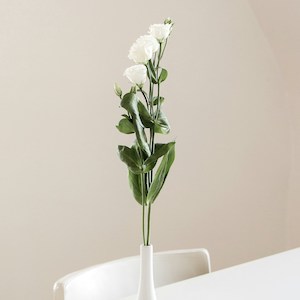 Event Decoration Consultation