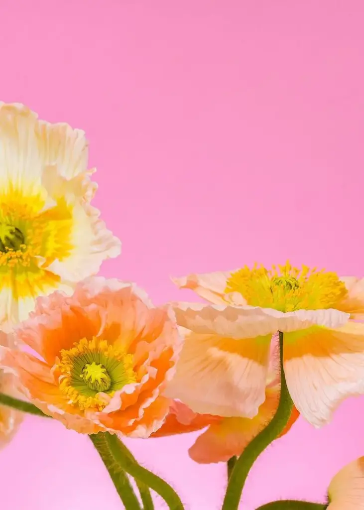 The Appreciation Arrangement