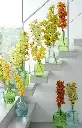 Ethereal Garden Romance – from $2000