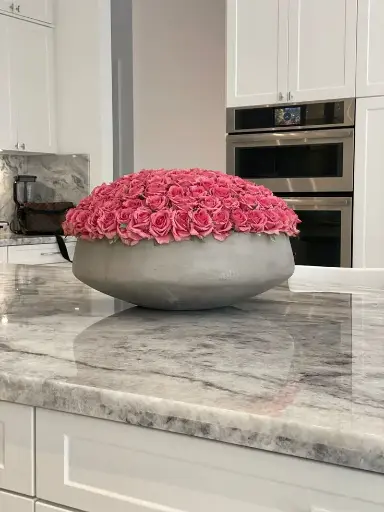 Own Your Bloom