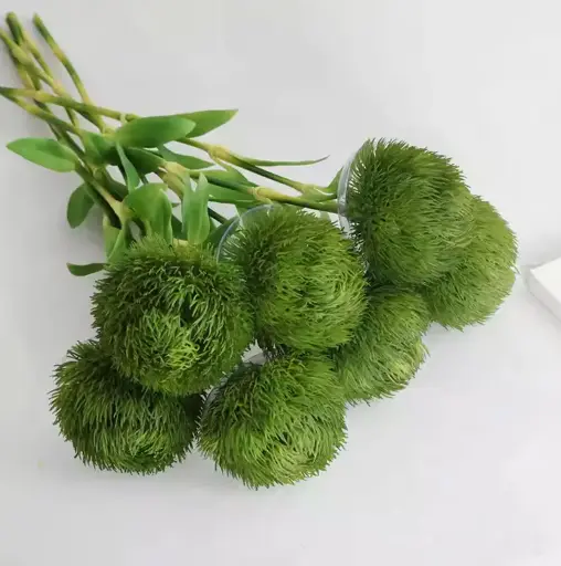 Dianthus Green Trick